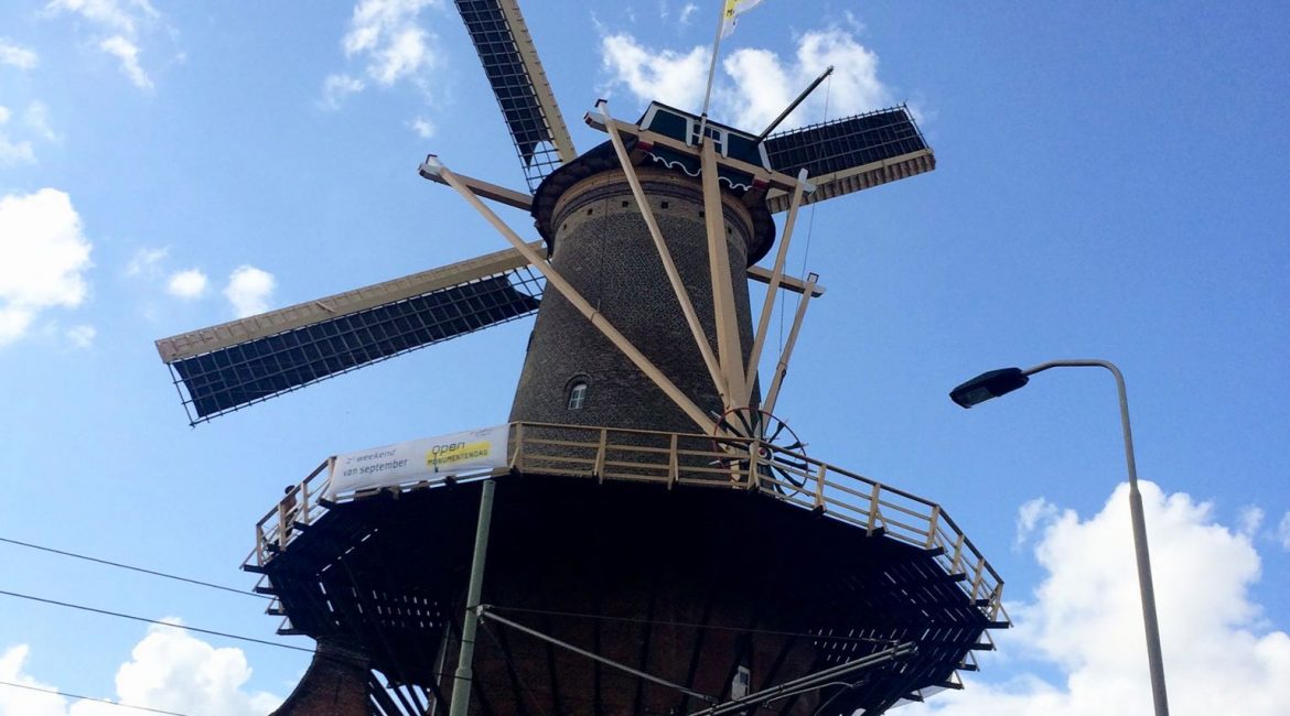 ETA Spotlight: Colleen Lawson-Thornton, The Netherlands ETA Spotlight: Colleen Lawson-Thornton, The Netherlands